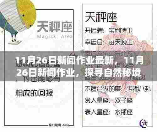 探寻自然秘境,心灵之旅启程,最新11月26日新闻作业报道