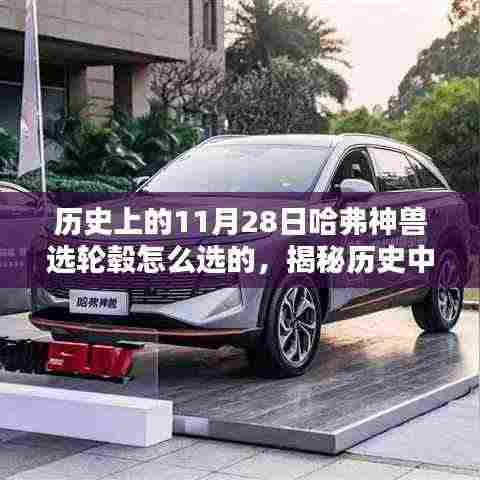 揭秘历史中的特殊日子,揭秘哈弗神兽轮毂选择全攻略(11月28日篇)