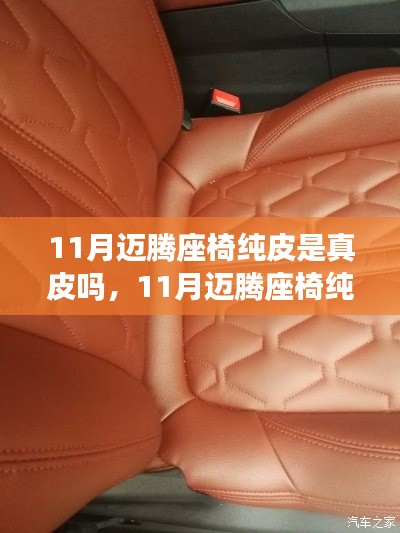11月迈腾座椅纯皮材质解析,真皮还是非真皮?