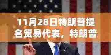 特朗普提名新任贸易代表，深度解析与评估影响