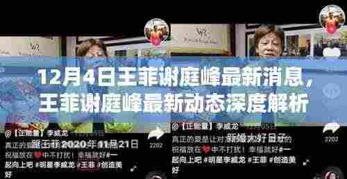 王菲谢庭峰最新动态揭秘,特性、体验、竞品对比及用户群体深度分析