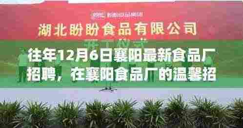 往年12月6日襄阳最新食品厂招聘,在襄阳食品厂的温馨招聘日里,遇见友情与家的味道