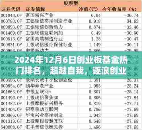 超越自我，逐浪前行，2024年创业板基金热门排名揭晓