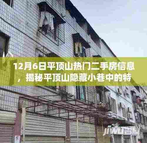 揭秘平顶山隐藏小巷特色小店与热门二手房背后的故事(独家报道)