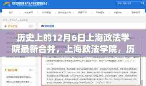 上海政法学院合并日,历史与未来的交汇,探寻小巷特色小店