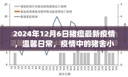 猪瘟疫情下的温馨日常,猪舍趣事与家的温暖