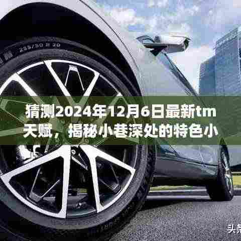 揭秘未来TM天赋,小巷深处的特色小店与预测天赋的环境探索之旅(2024年12月6日最新)