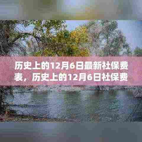 寻找心灵宁静的社保变迁之旅,历史上的12月6日社保费变迁与自然探险喜剧