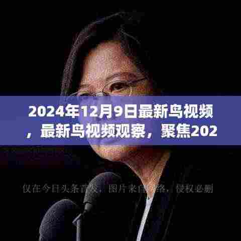 2024年12月9日最新鸟视频观察与分析,聚焦最新发现与我的观点