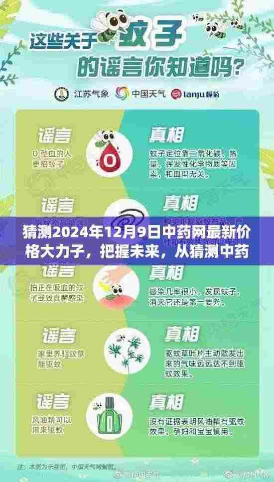 中药网最新价格预测，大力子励志之旅，展望未来中药市场动向