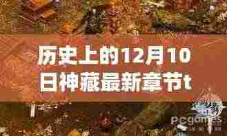 神藏书屋最新章节揭秘，神秘角落探秘与神奇故事下载