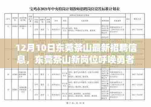 东莞茶山最新招聘,新岗位呼唤勇者,探索自然美景与内心宁静之旅