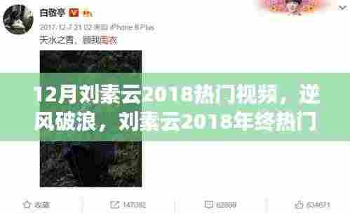 励志之星刘素云,逆风破浪的年终热门视频背后的故事与成长之路