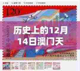历史上的12月14日澳门天天免费精准大全:澳门的历史课堂永远开放