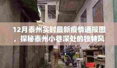 泰州疫情最新通报图与小巷深处的独特风味,疫情阴影下的小店故事探索