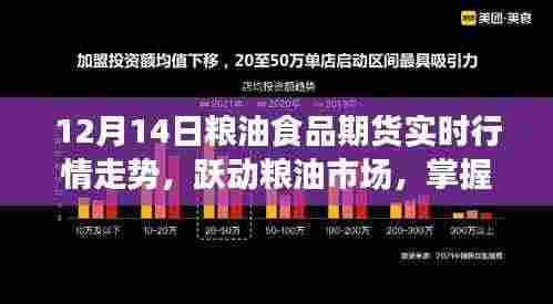 跃动粮油市场，掌握期货行情，成就梦想之路——12月14日粮油食品期货实时行情解析