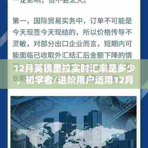 12月英镑里拉实时汇率查询,初学者与进阶用户指南及步骤详解