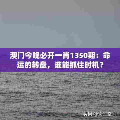 澳门今晚必开一肖1350期:命运的转盘,谁能抓住时机?