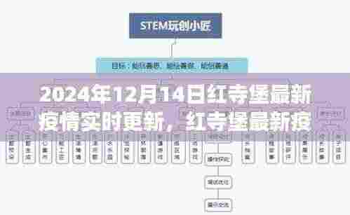 红寺堡最新疫情实时更新报告(聚焦解读,日期,2024年12月14日)