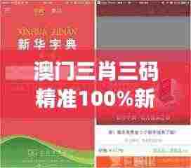 澳门三肖三码精准100%新华字典:探索编码艺术与语言魅力的完美融合