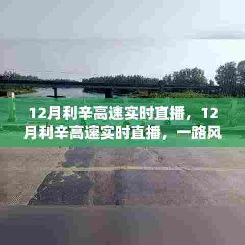 12月利辛高速实时直播,风景与体验分享之旅