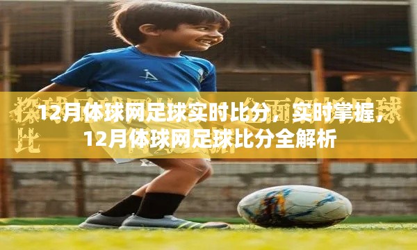 12月体球网足球实时比分解析,掌握最新动态
