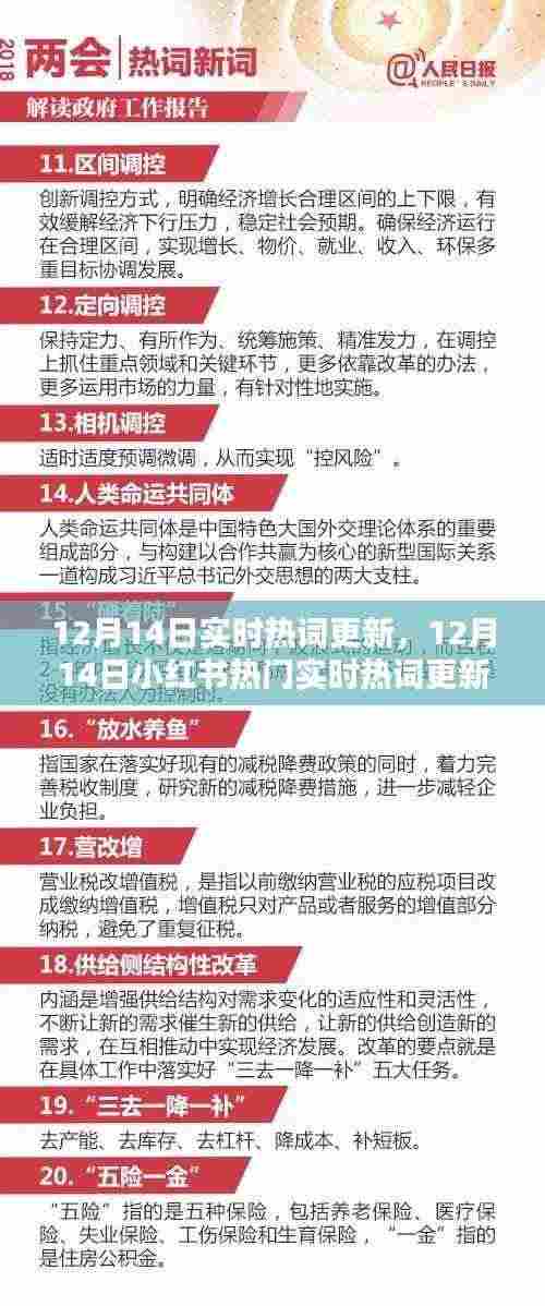 12月14日热门实时热词更新,小红书潮流资讯与热点动态一网打尽