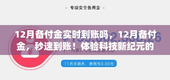 12月备付金实时到账体验,秒速到账,感受金融科技的革新力量