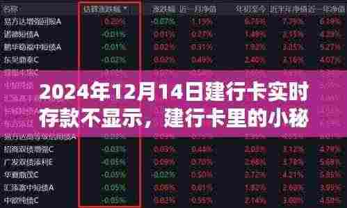 建行卡实时存款不显示背后的秘密与温馨日常体验