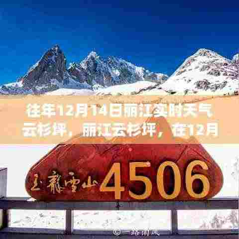 丽江云杉坪,寻找内心的宁静与自然魔法的秘密之旅(往年12月14日实时天气)