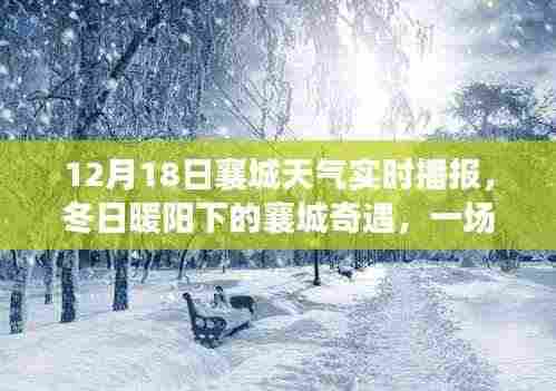冬日暖阳下的襄城奇遇,天气播报与友情故事的交织