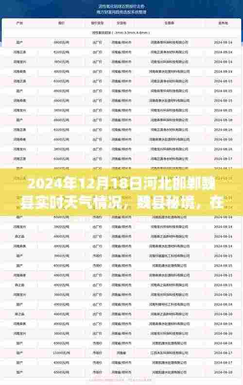 河北邯郸魏县秘境，探寻内心宁静与自然魔法的冬日之旅