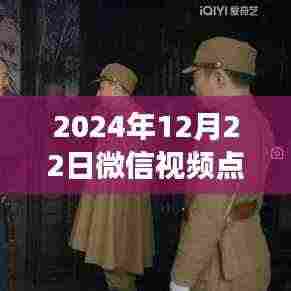 微信视频点赞实时性解析，聚焦2024年12月22日的数据表现与实时更新特点