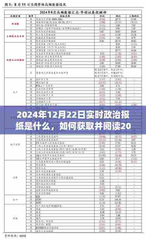 详细指南,获取并阅读2024年12月22日实时政治报纸的方法与内容解析