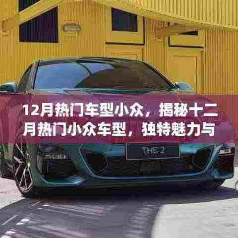 揭秘十二月热门小众车型的独特魅力和趋势洞察