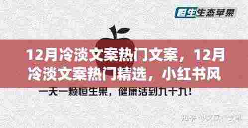 温暖你的十二月，小红书风格精选冷淡文案