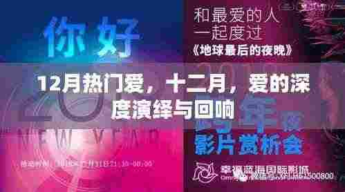 十二月爱的深度演绎与回响,爱的回响在冬季绽放