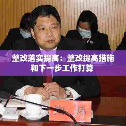 整改落实提高:整改提高措施和下一步工作打算