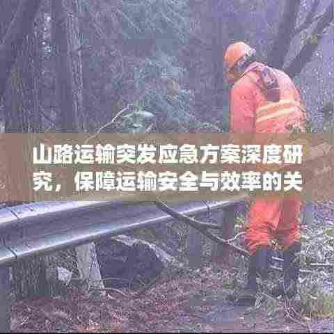 山路运输突发应急方案深度研究，保障运输安全与效率的关键策略