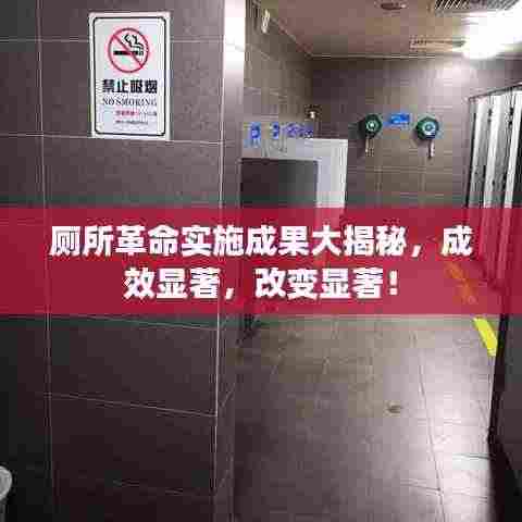 厕所革命实施成果大揭秘,成效显著,改变显著!