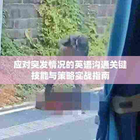 应对突发情况的英语沟通关键技能与策略实战指南