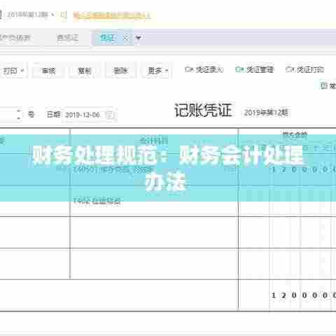 财务处理规范:财务会计处理办法