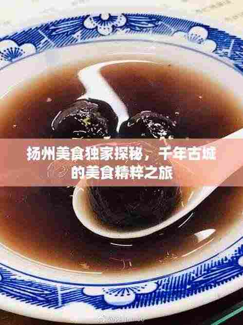 扬州美食独家探秘,千年古城的美食精粹之旅