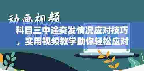 科目三中途突发情况应对技巧,实用视频教学助你轻松应对