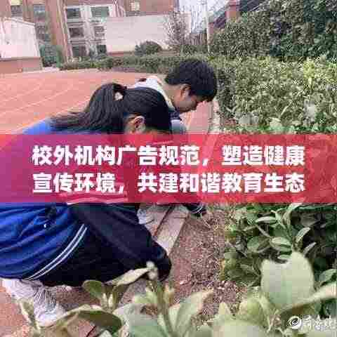 校外机构广告规范,塑造健康宣传环境,共建和谐教育生态
