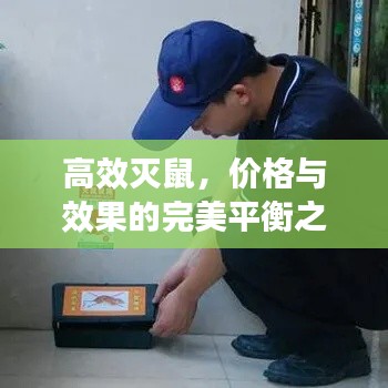 高效灭鼠,价格与效果的完美平衡之道