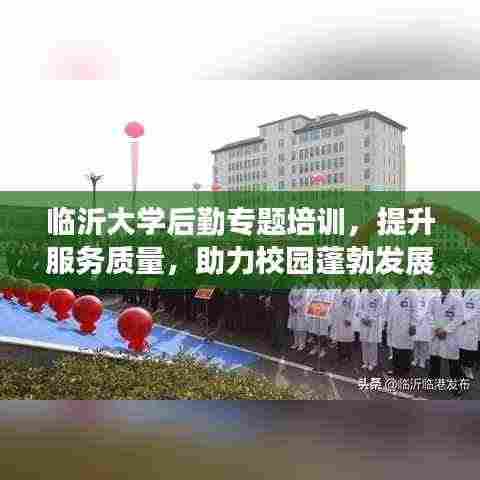 眉飞色舞 第4页