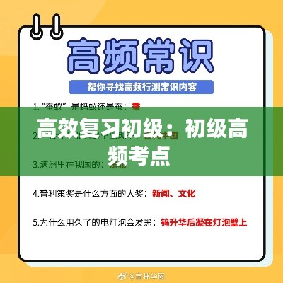 高效复习初级:初级高频考点