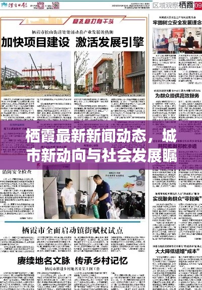 栖霞最新新闻动态，城市新动向与社会发展瞩目关注