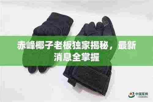 赤峰椰子老板独家揭秘,最新消息全掌握